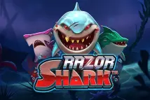 Razor Shark